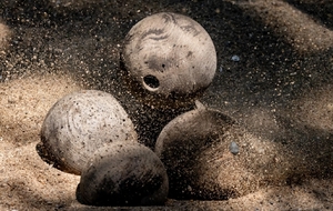 Bienvenue sur le site officiel de la Fédération