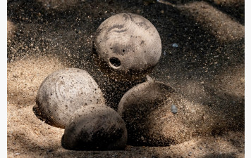 Bienvenue sur le site officiel de la Fédération