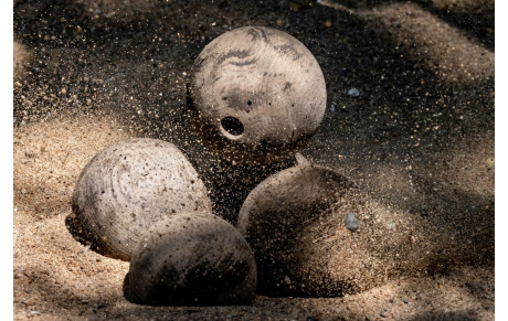 Bienvenue sur le site officiel de la Fédération